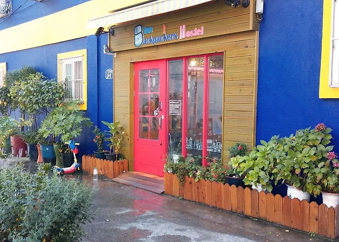 Hostel Blue Backpackers